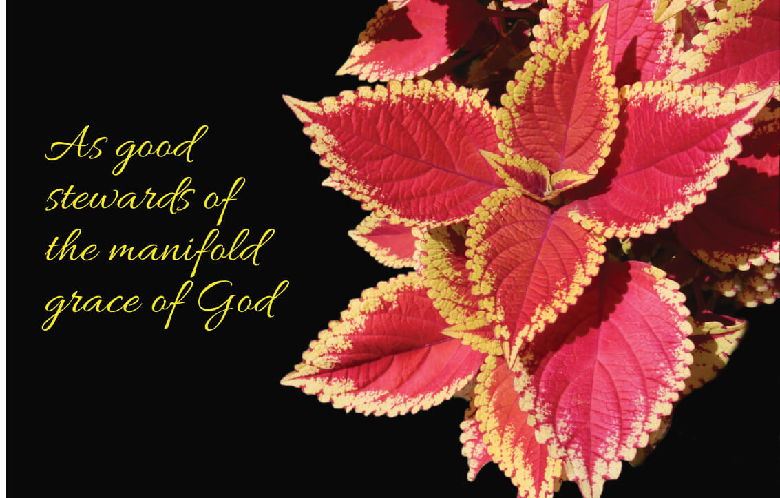 The Manifold Grace of God